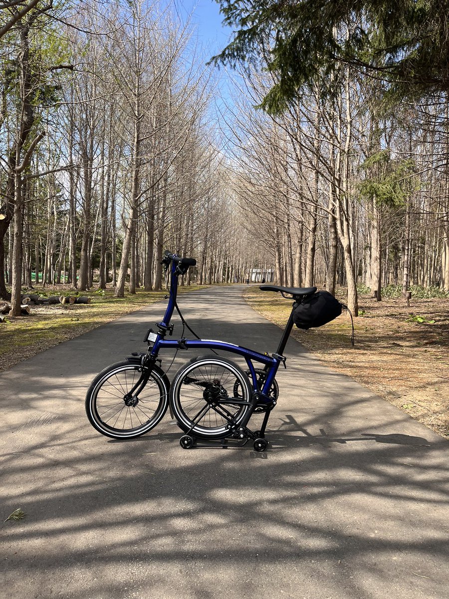 エクセﾉﾚ tweet media