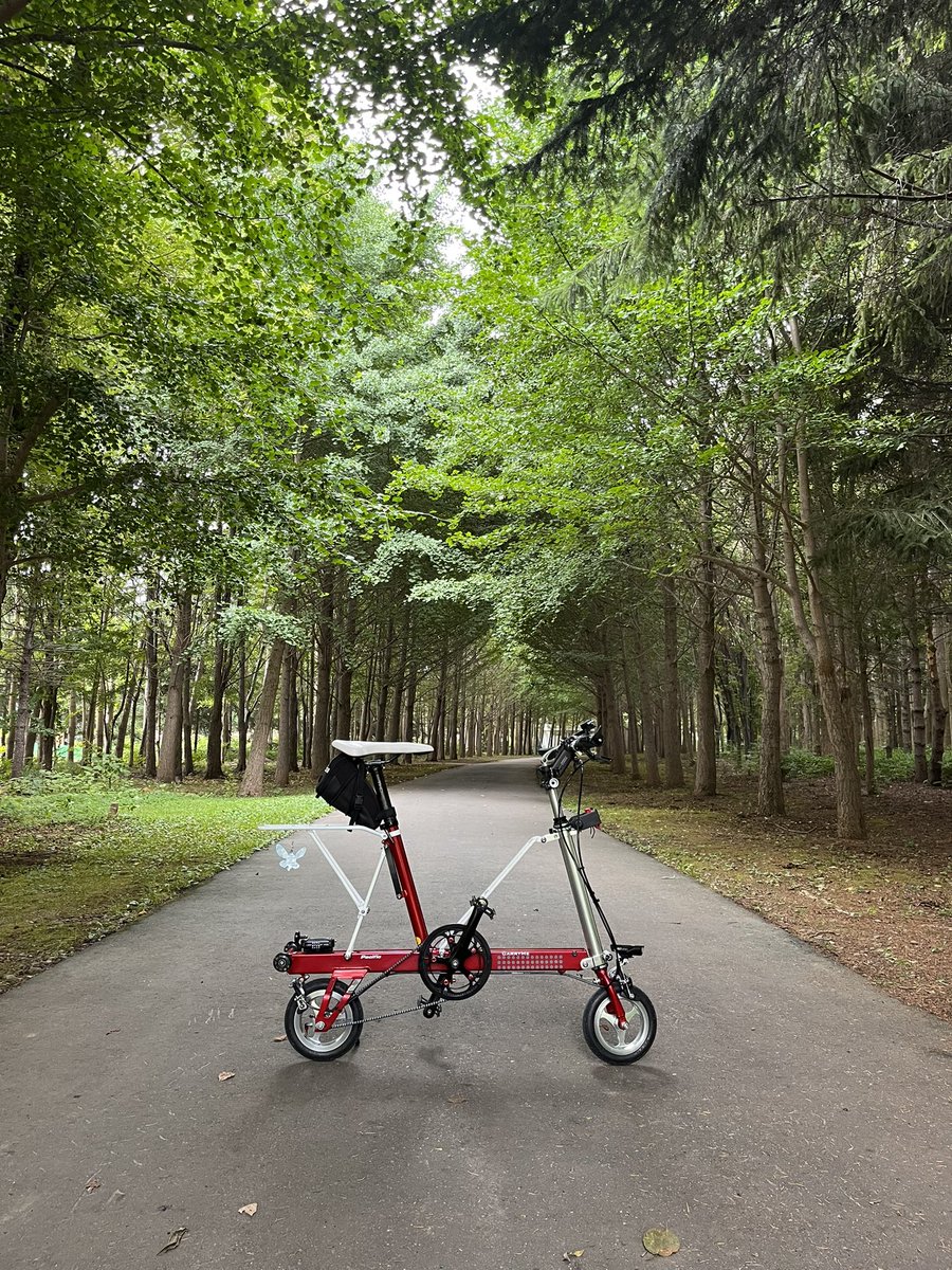 エクセﾉﾚ tweet media