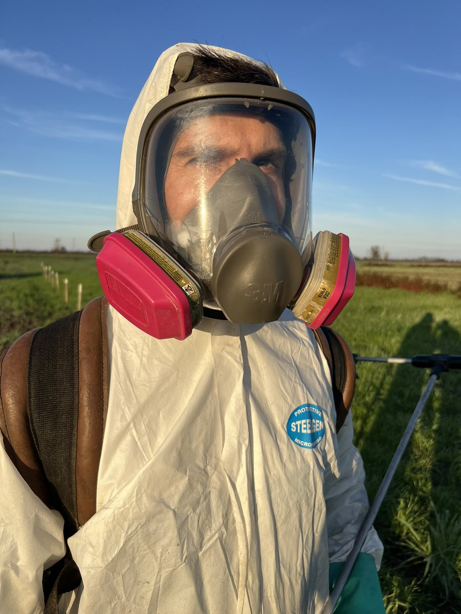 Consultora Más Hectáreas tweet media