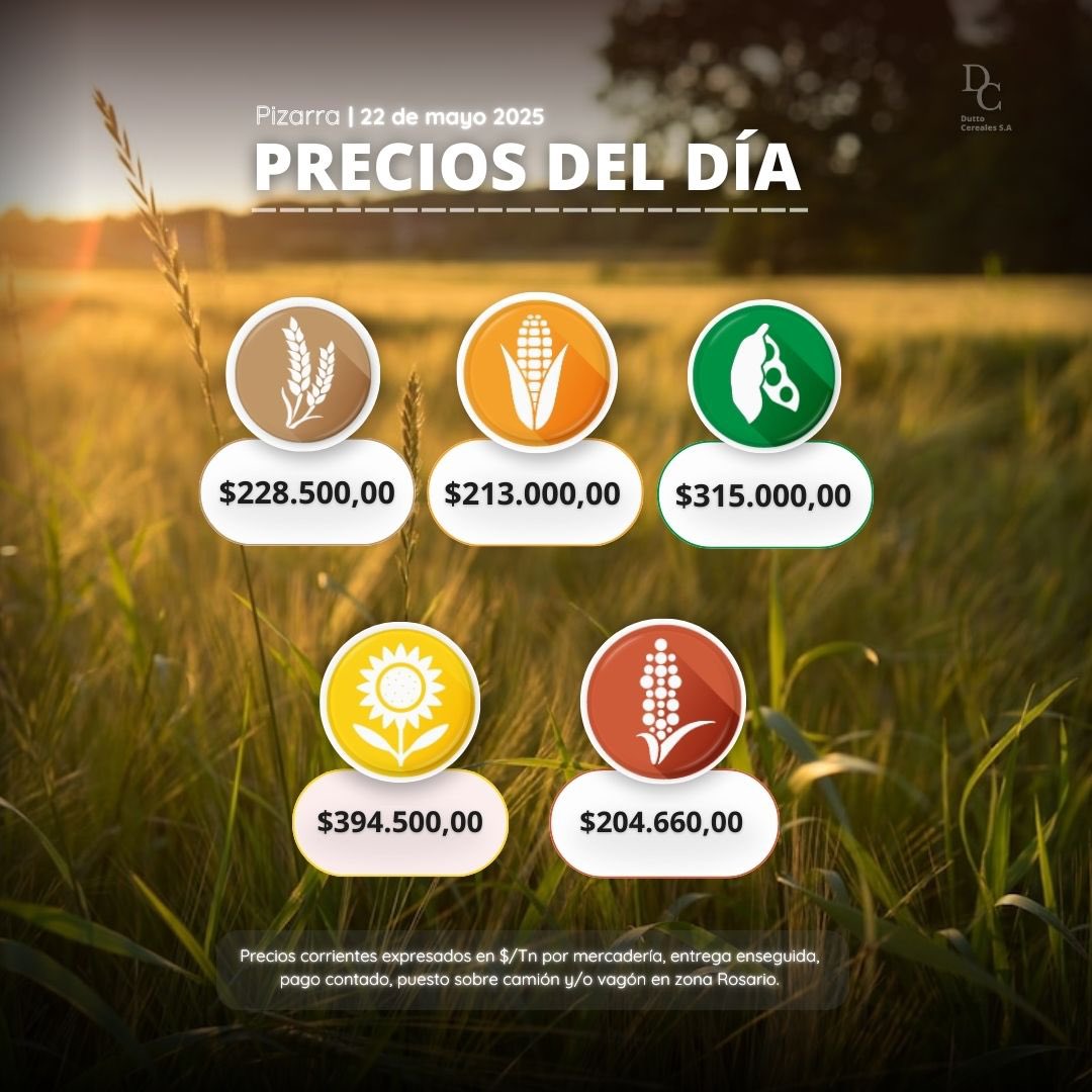 📊 𝗣𝗿𝗲𝗰𝗶𝗼𝘀 𝗱𝗲 𝗣𝗶𝘇𝗮𝗿𝗿𝗮 | #𝗥𝗼𝘀𝗮𝗿𝗶𝗼 22/05 :📊

🔸¡Mantente al tanto de las últimas cifras del mercado agropecuario con nosotros!

✅Agenda este nro. +𝟱𝟰 𝟵 𝟯𝟰𝟮𝟰 𝟮𝟮-𝟲𝟭𝟴𝟴 y hace tu consulta de manera rápida y fácil 😄👌

#DuttoCereales #Agro