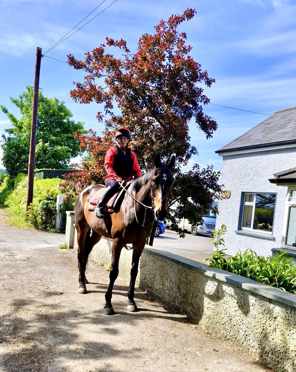 "My name is Tina Condon, I completed the Equestrian Studies course 2024/2025. I throughly enjoyed every aspect of the course. Through Sineads coaching I was able to complete my Road Safety, BHS 1 and BHS 2. I am now currently working towards my BHS Coach"