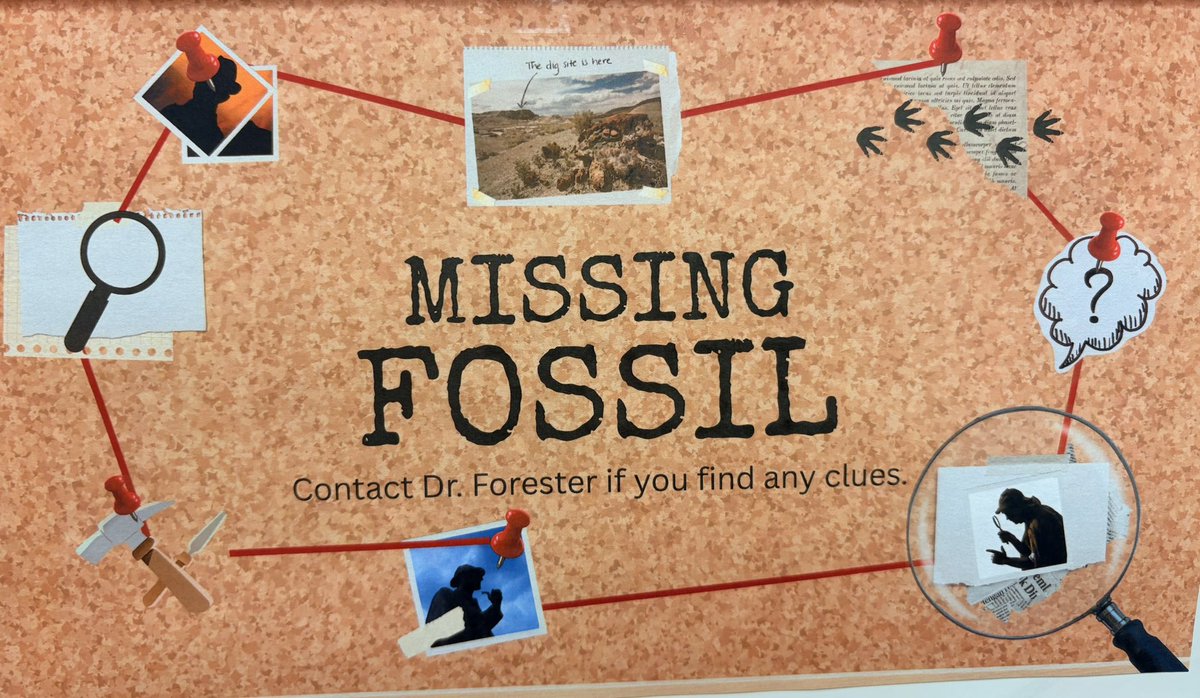 Hannah Scataglia tweet media