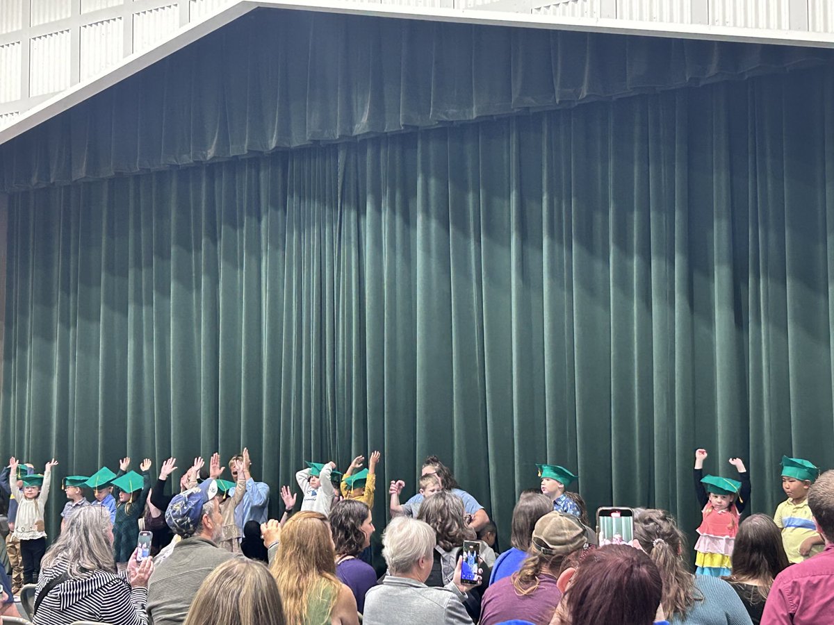 Lisa Harkness tweet media