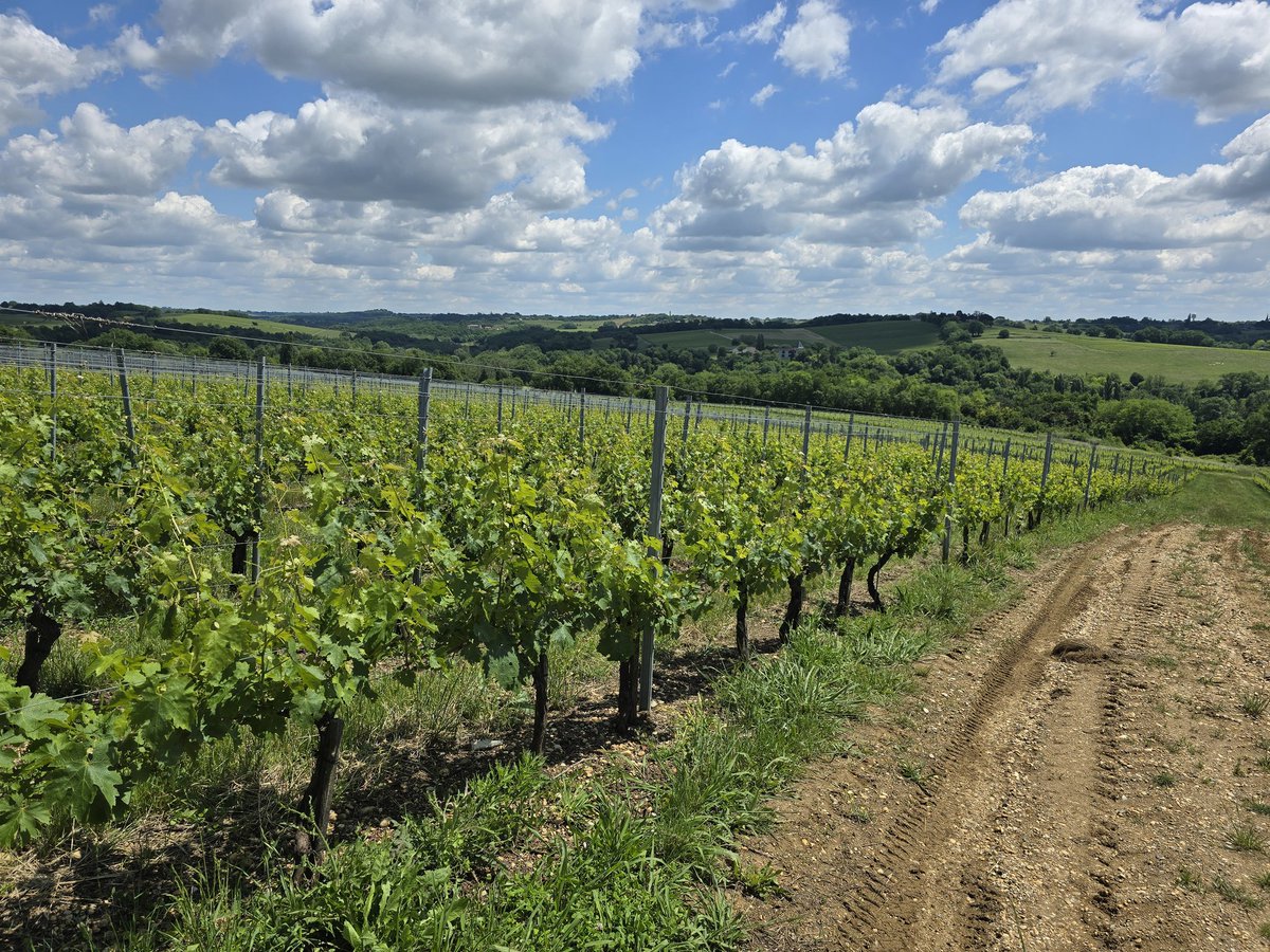 Current view in #Bordeaux 🇫🇷🍷♥️
