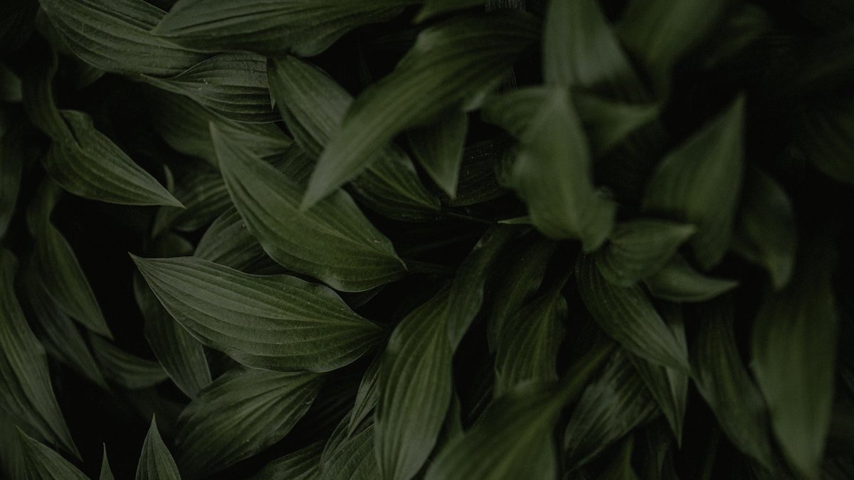 َ (@chaiknong) on Twitter photo 