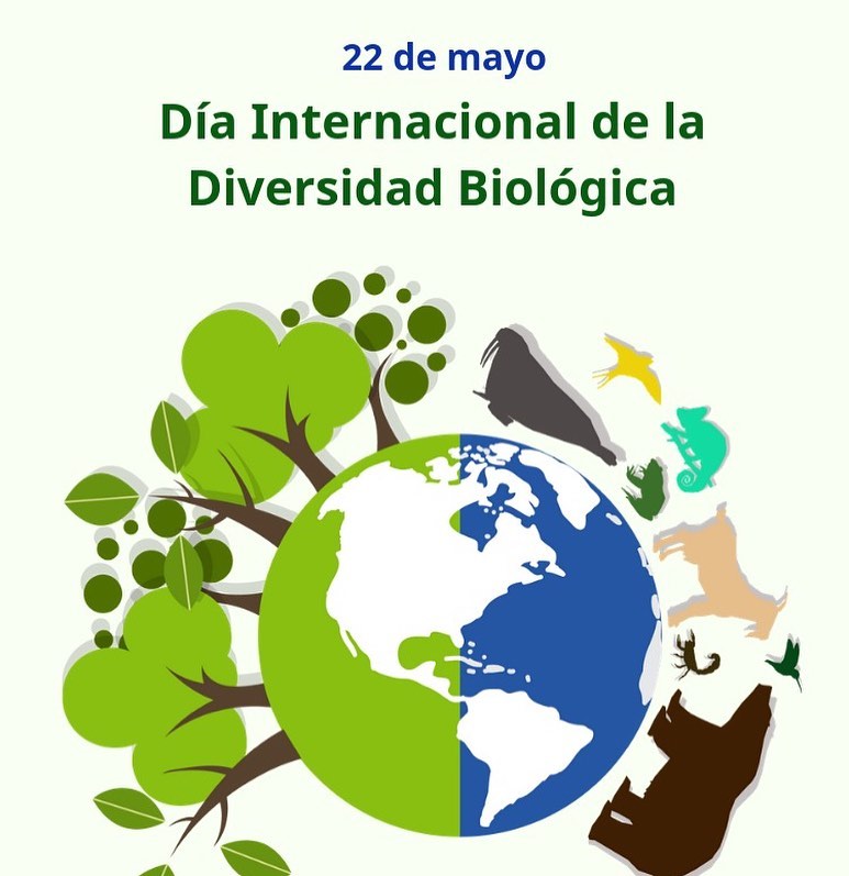 La ONU designó el 🗓 22/5 como el Día Internacional de la Diversidad Biológica para aumentar la educación pública, la conciencia y el reconocimiento de los importantes desafíos que las actividades humanas plantean a la diversidad biológica.