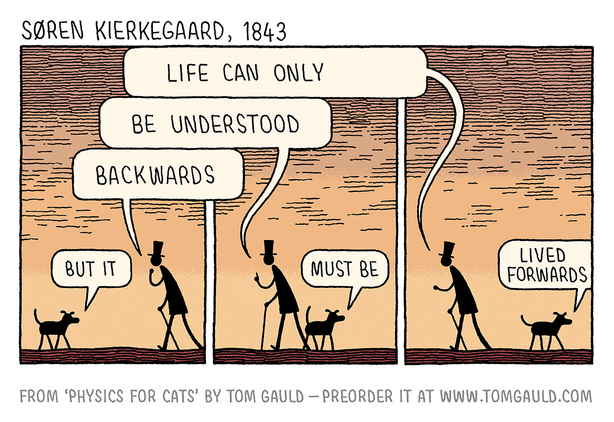 One of the cartoons from Physics for Cats