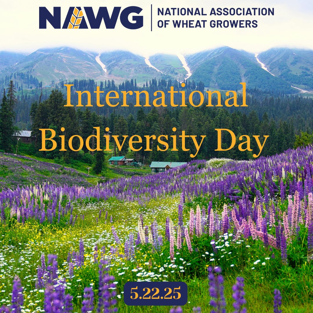 Today, on International Biodiversity Day, we celebrate the vital role of nature in agriculture. Biodiversity keeps our farms strong, soils healthy, and food growing.