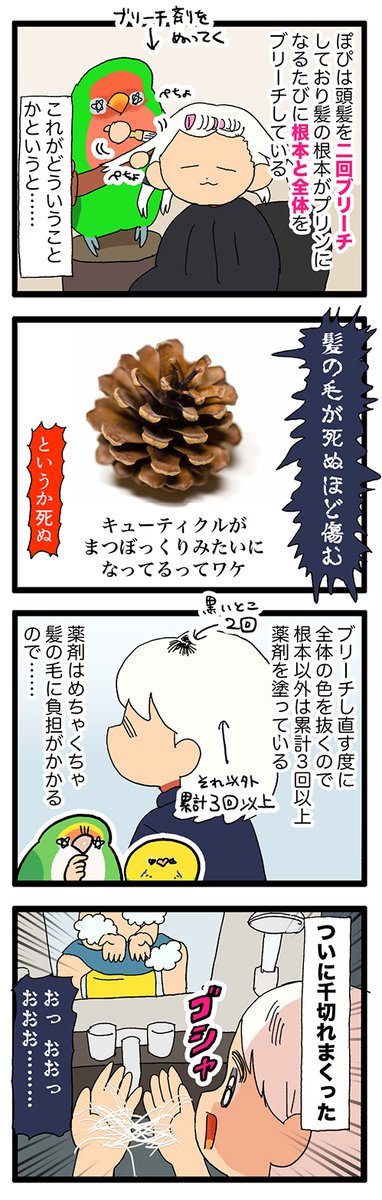 ブリーチしまくってたら髪の毛ブッチブチになって草ァ!!!(まあいいか)

2091 #えるポピの絵日記かくところ 