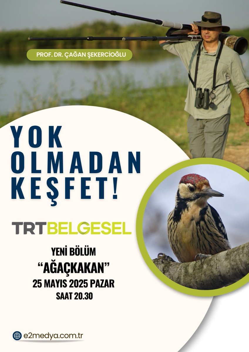 sekercioglu's tweet photo. https://t.co/0eQnNfPaYo