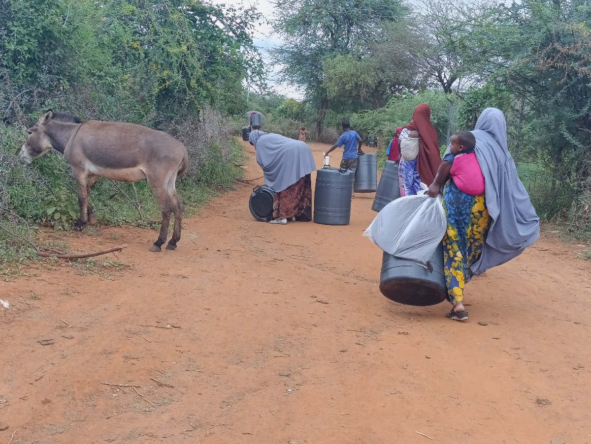 In the arid heartlands of Marsabit, where scorching heat and long treks for water define daily life, the line between hardship and hope can be drawn by something as simple as a bar of soap, a mosquito net, and a 100-litre water tank.

This week, we reached 300 households across