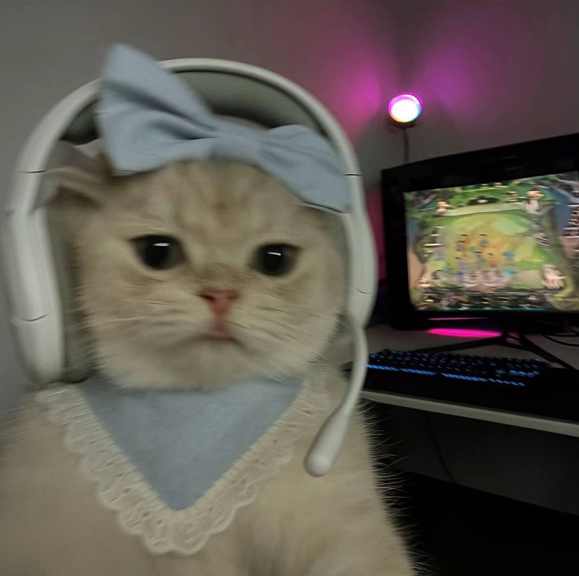 indiebangsat's tweet image. 🤍