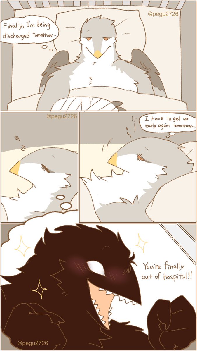 ミータルト tweet media