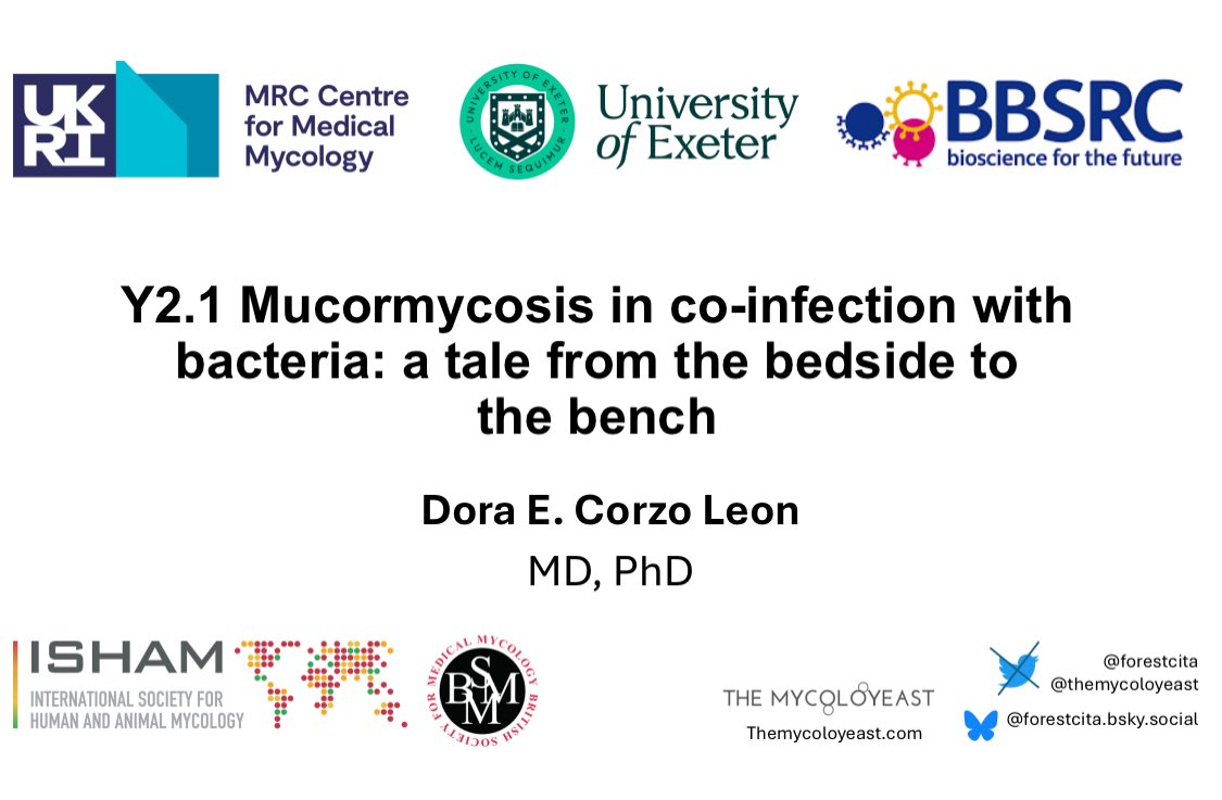 Dora Corzo, MD, PhD ๐ฒ๐ฝ๐ด๓ ง๓ ข๓ ณ๓ ฃ๓ ด๓ ฟ (@forestcita) on Twitter photo Was so glad to present preliminary data about my research in
#ISHAM2025 thanks to <a href="/youngisham/">The Young ISHAM</a> the <a href="/BritSocMedMyc/">British Society for Medical Mycology</a> <a href="/MRCcmm/">MRC Centre for Medical Mycology</a> and @balloulab for supporting me Was so glad to present preliminary data about my research in
#ISHAM2025 thanks to <a href="/youngisham/">The Young ISHAM</a> the <a href="/BritSocMedMyc/">British Society for Medical Mycology</a> <a href="/MRCcmm/">MRC Centre for Medical Mycology</a> and @balloulab for supporting me