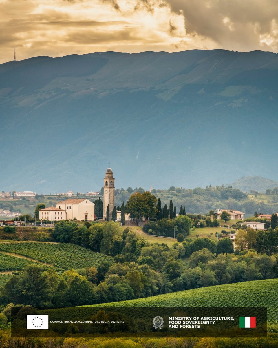 Masottina (@masottina_wines) on Twitter photo The soul of the Prosecco Hills, bottled.
Masottina wines celebrate nature, time, and generational know-how â tradition and beauty in every glass.
#Masottina #Winemaking #Prosecco #ItalianWine <a href="/hnwines/">Hallgarten & Novum Wines</a> The soul of the Prosecco Hills, bottled.
Masottina wines celebrate nature, time, and generational know-how â tradition and beauty in every glass.
#Masottina #Winemaking #Prosecco #ItalianWine <a href="/hnwines/">Hallgarten & Novum Wines</a>