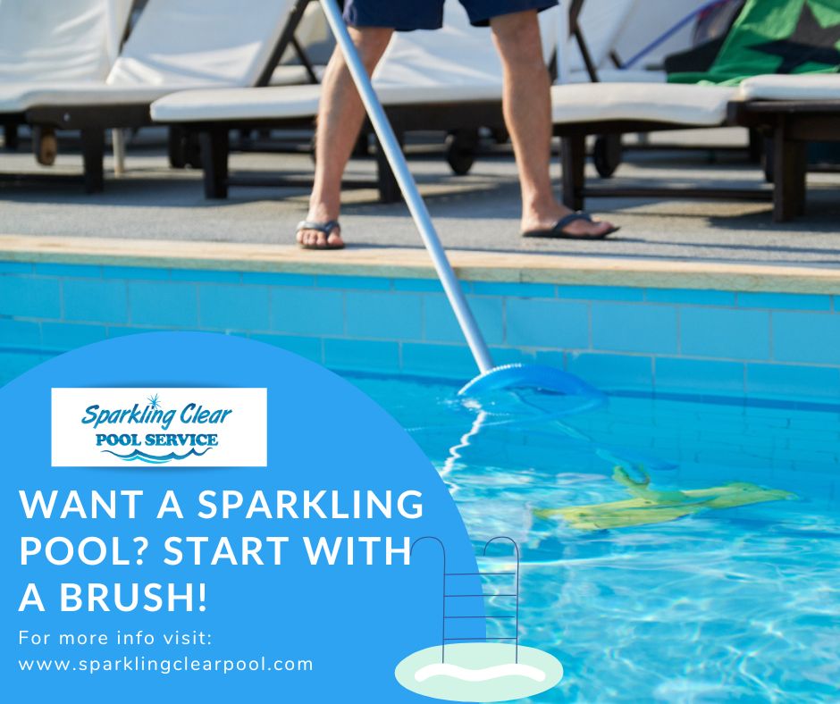 SparkClearPool's tweet image. Brushing your pool walls is key to a clean and algae-free pool. Prevent build-up, improve circulation, and extend surface life. Call us at 214-361-0255 today for expert pool care!

sparklingclearpool.com/#maintenance 

#SparklingClearPoolService #PoolBrushing #BrushYourPool #texas