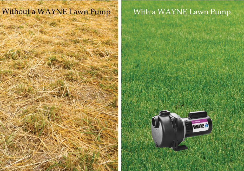 WAYNEPumps's tweet photo. No one likes a brown lawn – Wayne offers a variety of lawn pumps that will help hydrate your grass! Whatever your lawn needs, Wayne has it! #Lawncare #WaynePumps https://t.co/6ZtOcng13L