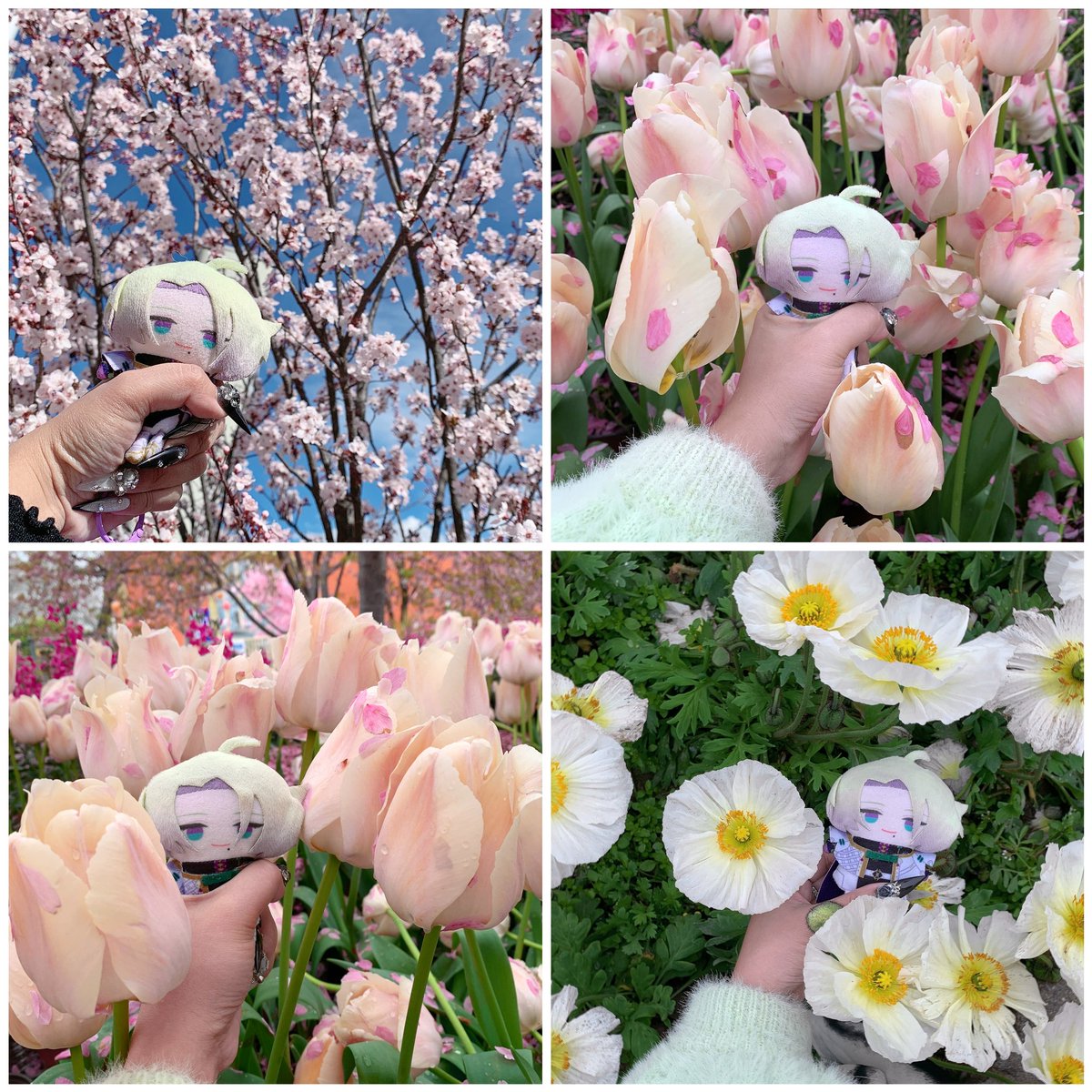 just some claudepape photo dump