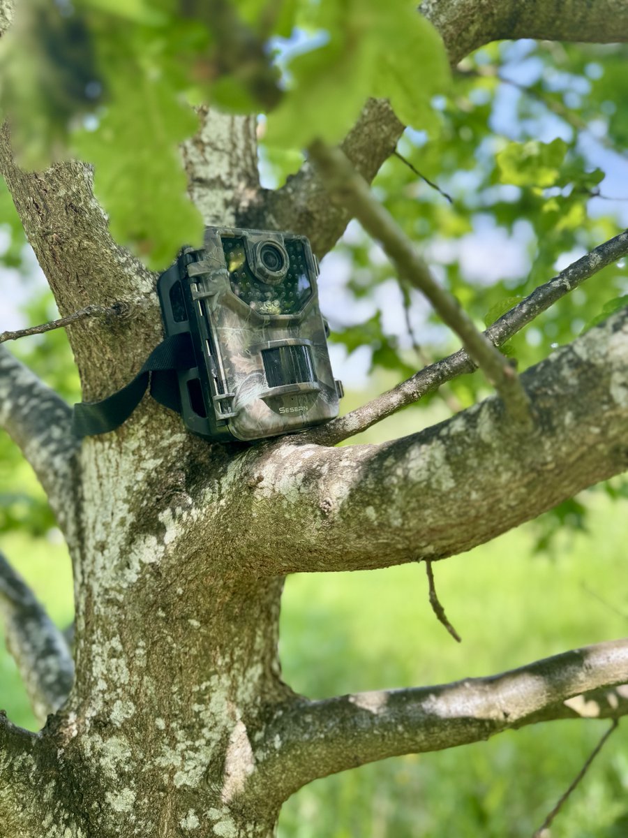 'Living Lab' is the name given to a multi-department sustainability initiative, where we're using scientific kit like audiomoths and camera traps to monitor biodiversity and help us manage our green spaces.

An initiative to highlight this #InternationalDayForBiologicalDiversity