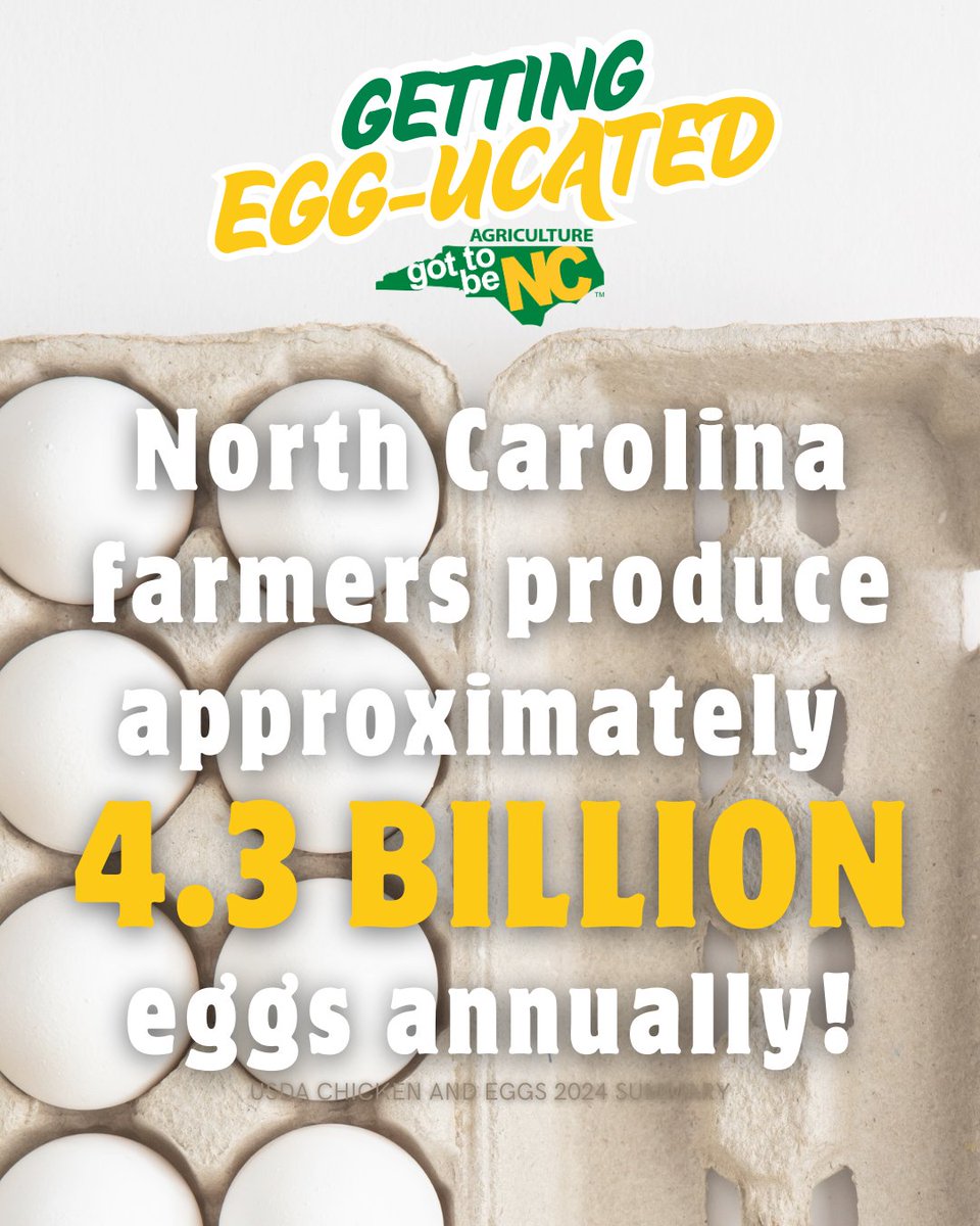 May is National Egg Month, and our Got to Be NC team is helping you celebrate with N.C. Egg facts! 🥚

Check these out to get "egg-ucated" and continue supporting our state's egg farmers. #BuyLocal #NCEggs #NCAgriculture