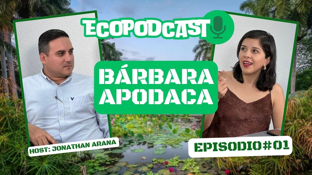 01. Bárbara Apodaca | ECOPODCAST 🎙️

▶️Listo el primer capítulo de tu podcast 🌱 ecológico de confianza.

En este primer episodio, nos acompañó la Arq. Bárbara Apodaca, Directora de Sociedad Botánica y Zoológica de Sinaloa IAP

⏯️DALE PLAY youtu.be/ATnn4076MI0?si…

#SomosVerdes 🍃
