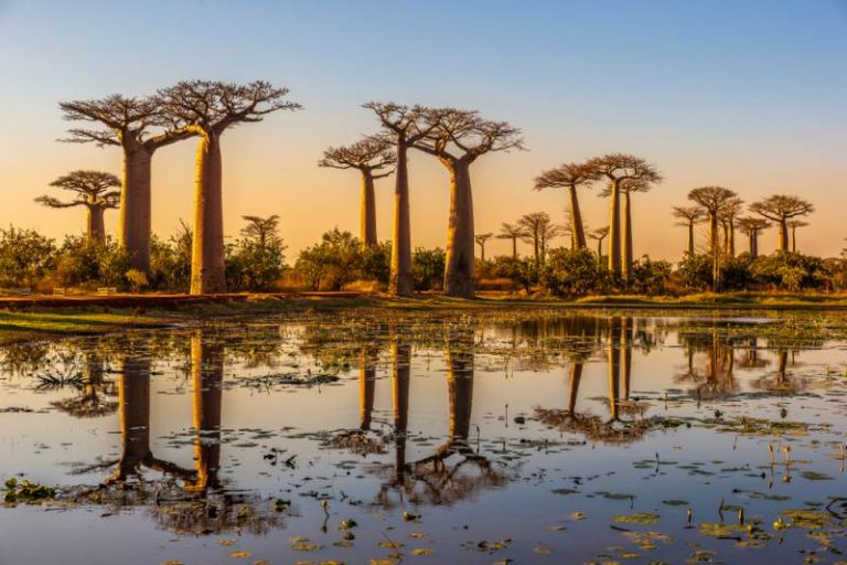 alessio ansuini (@ansuin) on Twitter photo On the #BiodiversityDay2025 we are honored to support biodiversity conservation in Madagascar.
Thanks to @TWAS-@Sissa-Lincei fellowship,
<a href="/AreaSciencePark/">Area Science Park</a> and the University of Antananarivo are using AI for monitoring wood exploitation in Madagascar. On the #BiodiversityDay2025 we are honored to support biodiversity conservation in Madagascar.
Thanks to @TWAS-@Sissa-Lincei fellowship,
<a href="/AreaSciencePark/">Area Science Park</a> and the University of Antananarivo are using AI for monitoring wood exploitation in Madagascar.