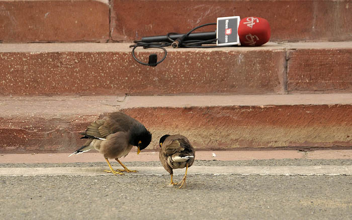PRITAM BANDYOPADHYAY tweet media