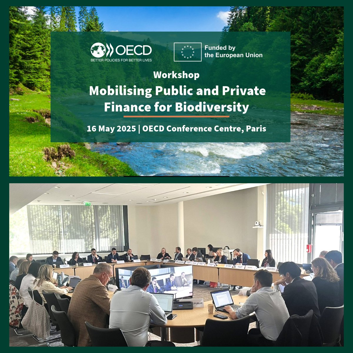 🌿🌍Happy #WorldBiodiversityDay!

As we celebrate the importance of nature, it’s crucial to highlight the critical role of finance. Check out the key takeaways from our recent workshop for concrete actions to scale up #BiodiversityFinance.

Find out more➡️ oecd.org/content/oecd/e…
