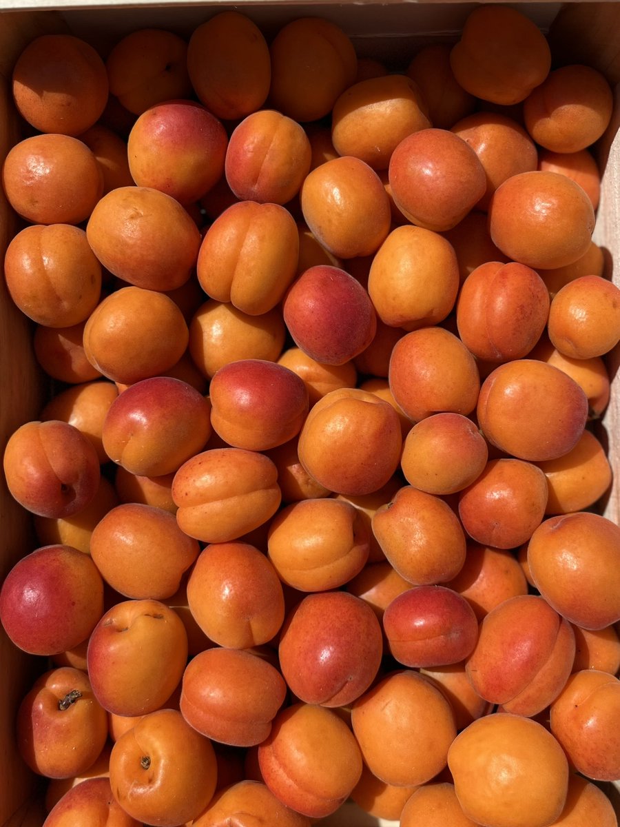 Wellocks (@wellocksfood) on Twitter photo A reminder to our customers that we will be delivering as normal over the May Bank Holiday weekend.
Our Chef Support team are here to support you and can be contacted as normal Mon-Fri 7am-5.45pm and 7am-2pm on Saturdays via 08444 993 444 or sales@wellocks.co.uk. A reminder to our customers that we will be delivering as normal over the May Bank Holiday weekend.
Our Chef Support team are here to support you and can be contacted as normal Mon-Fri 7am-5.45pm and 7am-2pm on Saturdays via 08444 993 444 or sales@wellocks.co.uk.