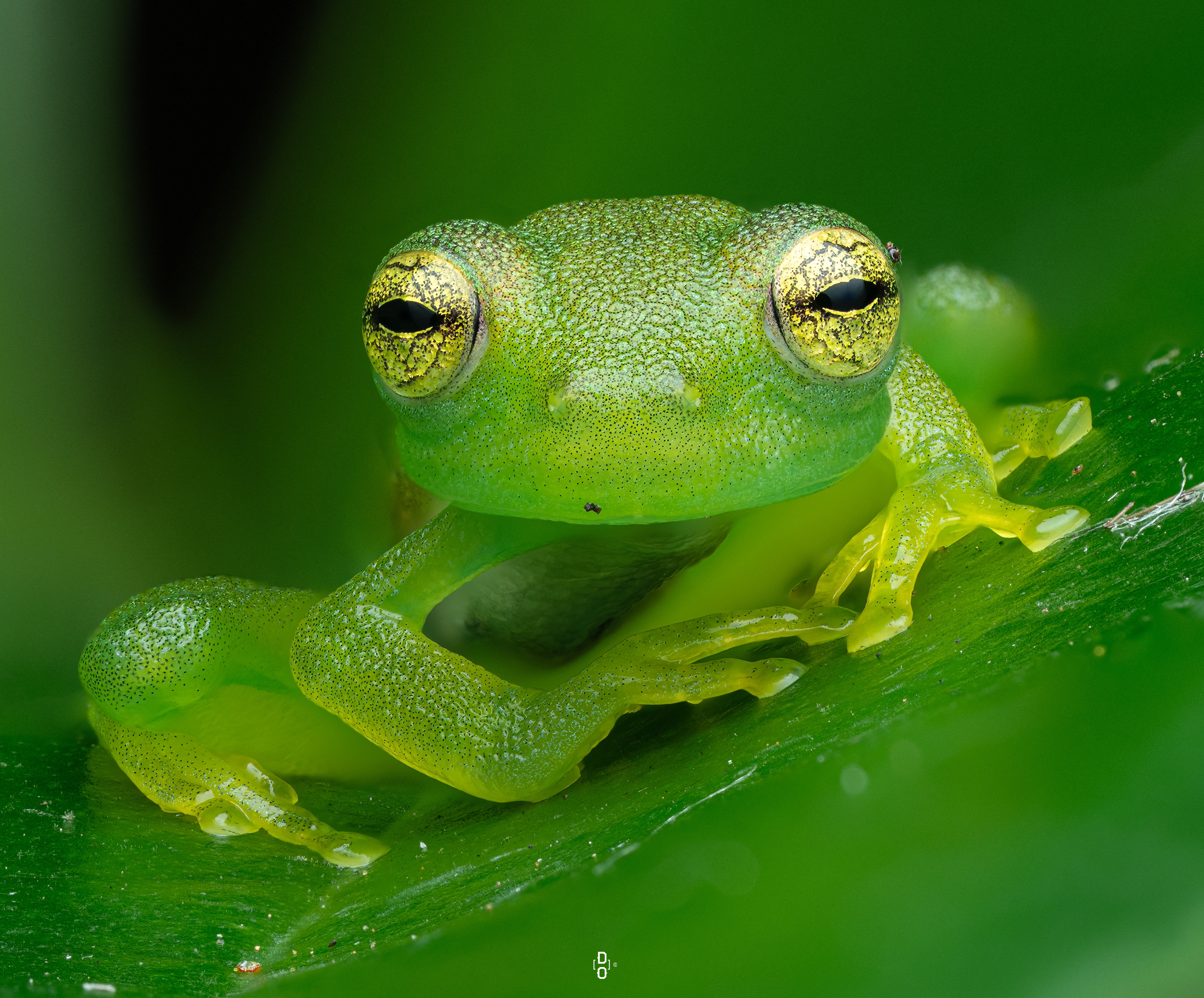 最終セール❗️アンティーク❤︎ディズニー❤︎クリスマスミッキー❤︎音楽とライト点灯 ディズニー クリスマス ランタン | Costco Japan