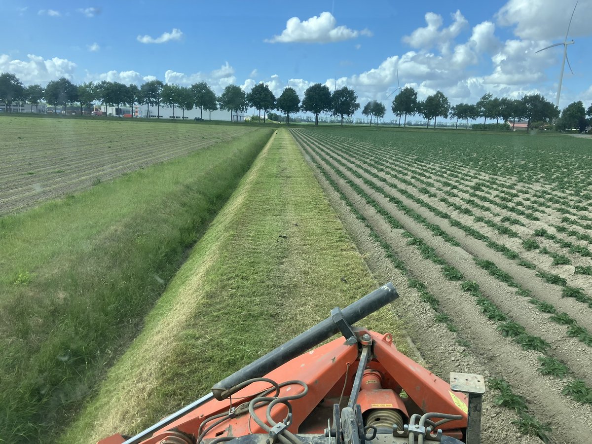 Blit Agro 🥔 🚜 tweet media