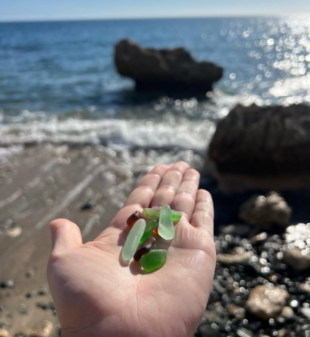 Naomi Bauernfeind tweet media