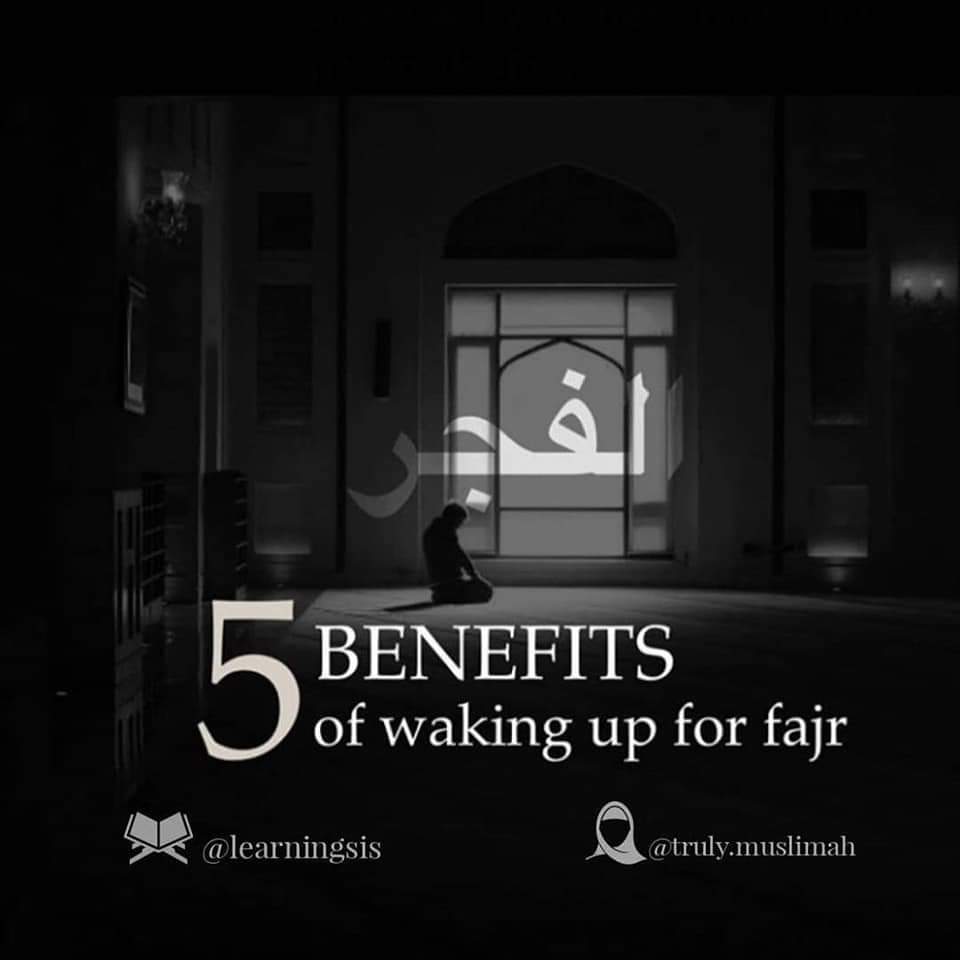 ○》5 Benefits of Waking Up For Fajr..🥰

○》 Must Read 📚