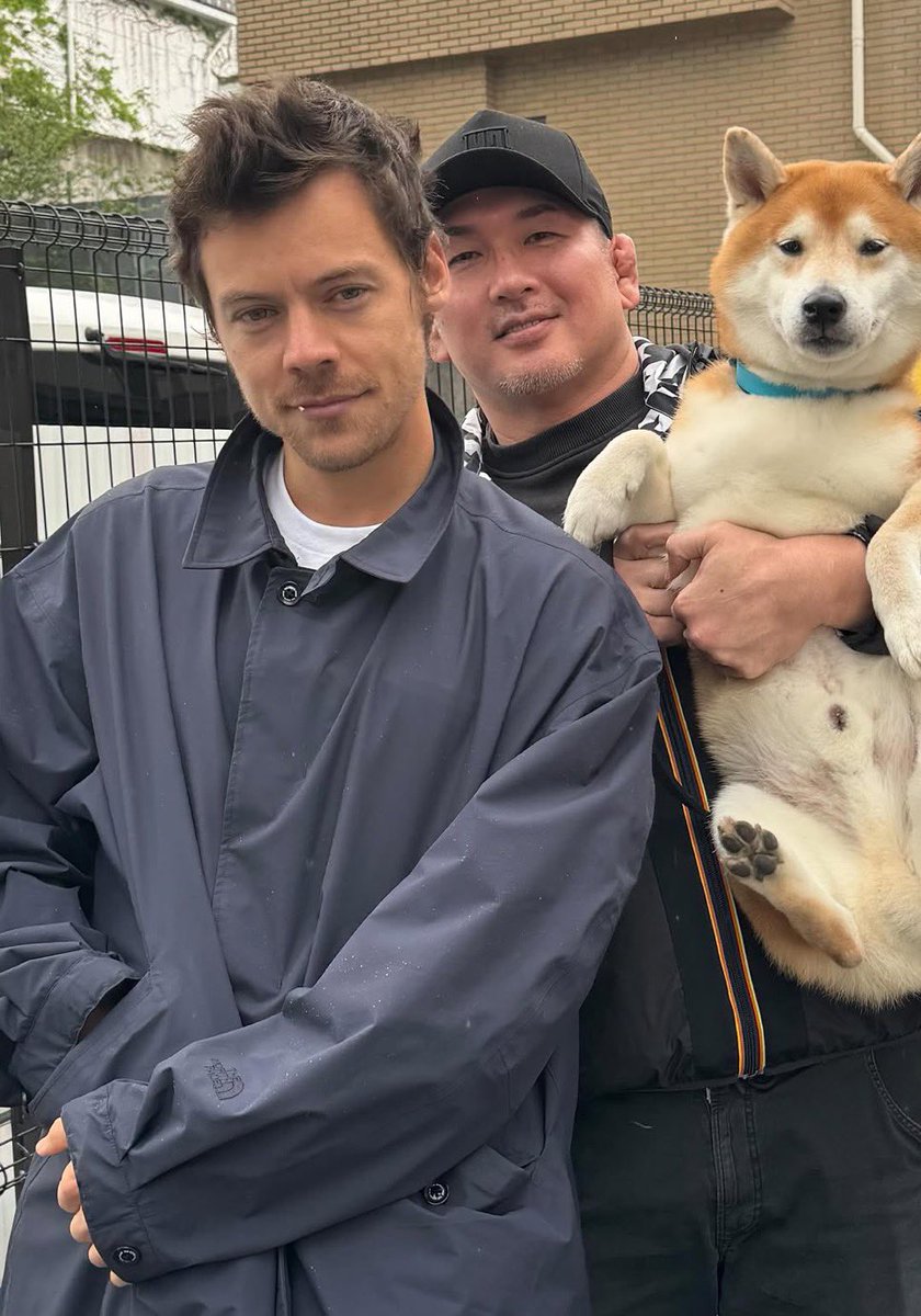 harryskiwiis's tweet photo. he just looks so good in this photo https://t.co/Nlkw0FhJfZ