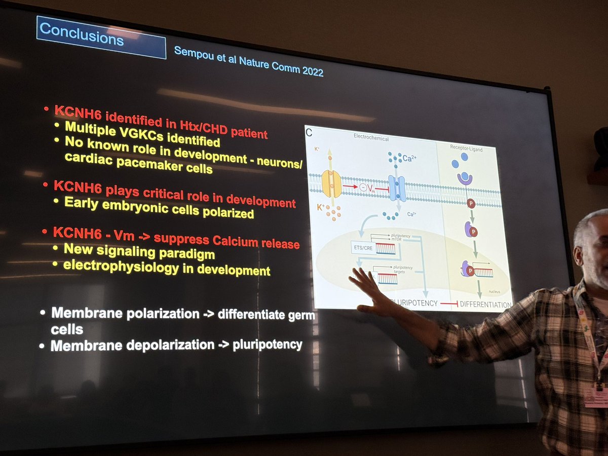 MarbanLab's tweet image. Fascinating lab meeting by guest Mustafa Khokha, @GuerinChildrens pediatric geneticist who’s implicated #IonChannels in the earliest steps of human (and frog) development. Turns out membrane potential is involved in gastrulation and heterotaxy! 😬🤔