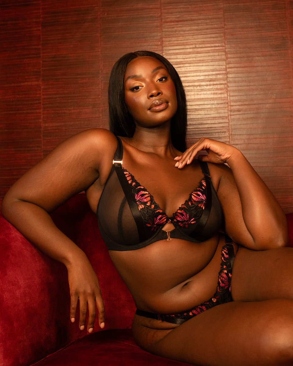Scantilly by Curvy Kate tweet media