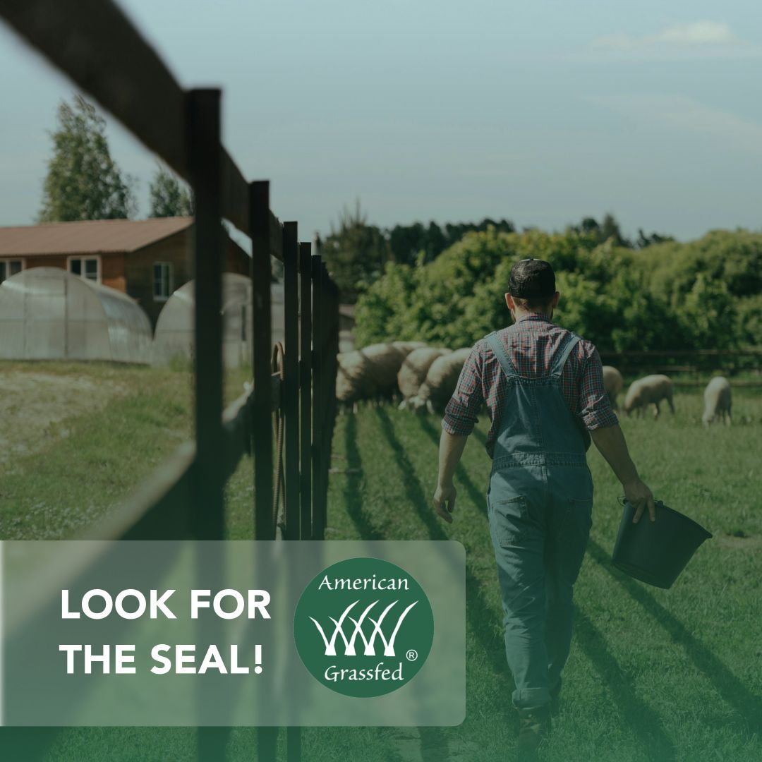 AmerGrassfed's tweet photo. How to support local farmers & eat healthier? Look for the AGA seal! 🏅 American farmers work hard to produce 100% grassfed, pasture-raised beef with no GMOs or feedlots. Buying AGA-certified means you’re supporting ethical farming. #SupportLocal #GrassfedCertified https://t.co/Z8JDPd6Gk6