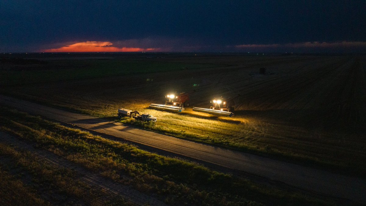 As equipment costs continue to rise, consider your options. Our leasing programs are designed with specific needs of agriculture in mind. brnw.ch/21wSRgK