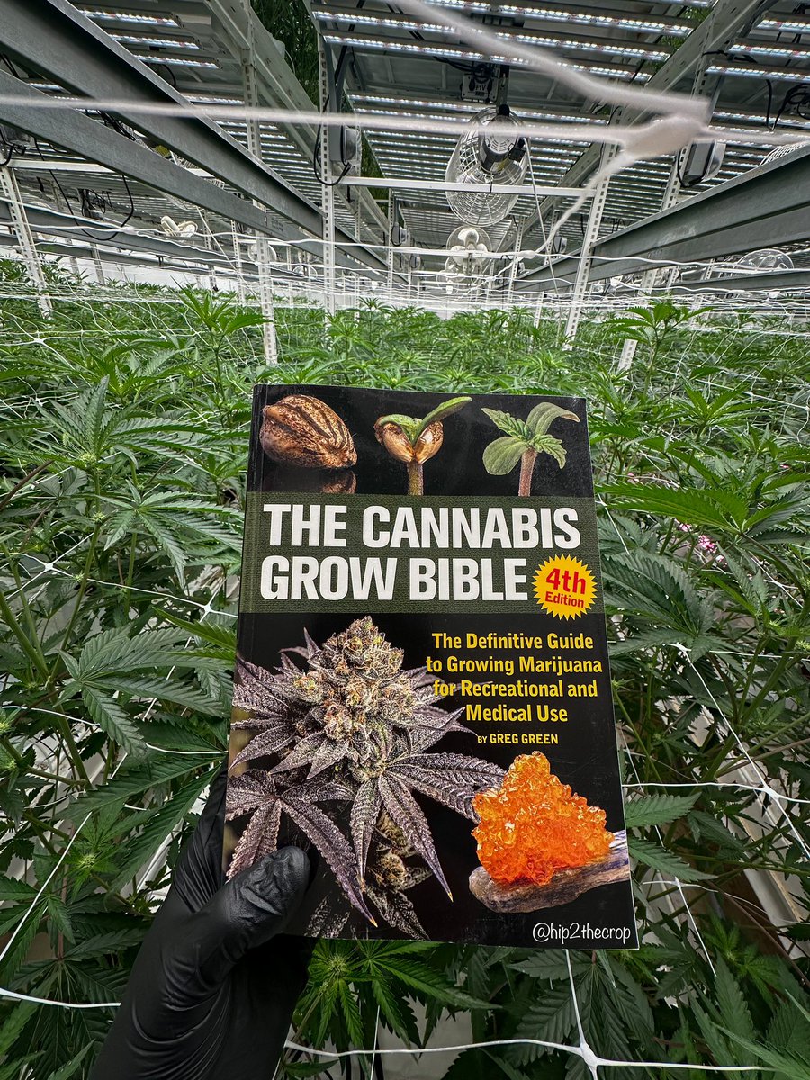 MF BLOOM tweet media