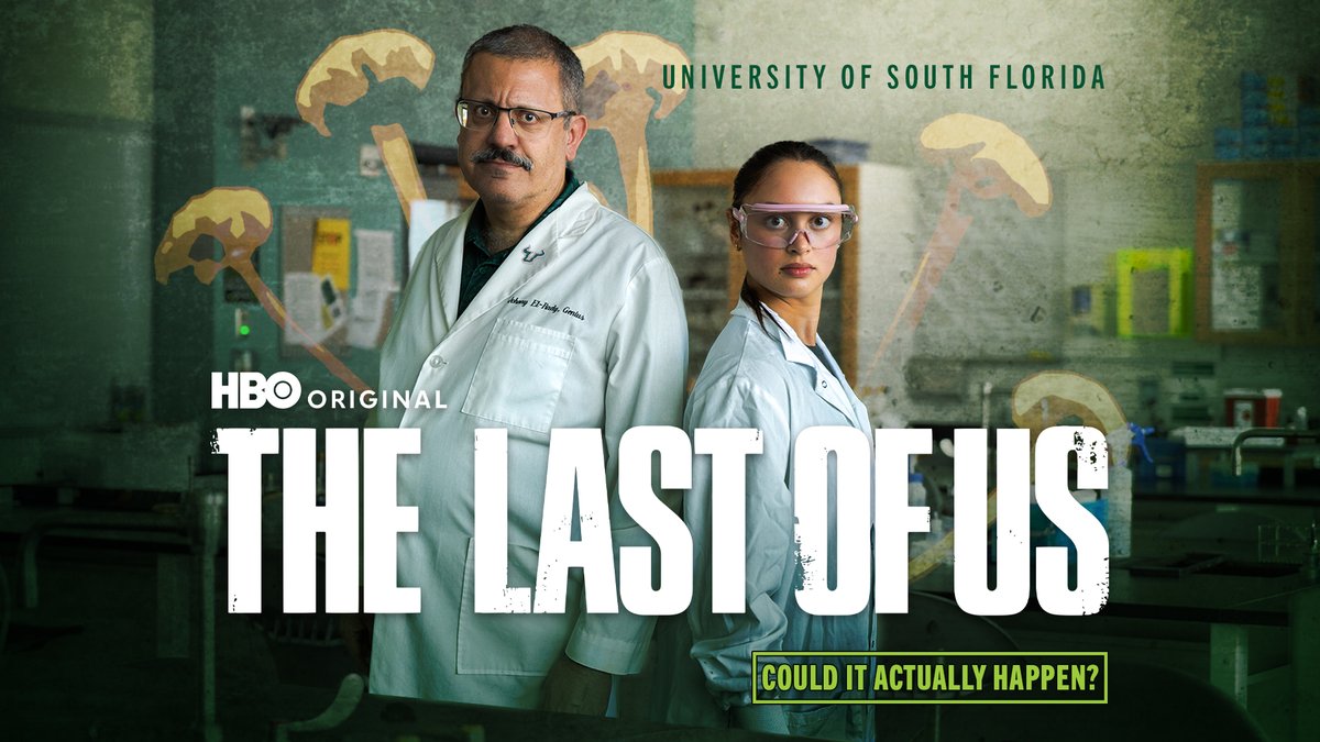 Could a real-life “The Last of Us” scenario ever happen? #USF medical mycologist Johnny El-Rady breaks down the science behind the fiction—and says it’s not worth losing sleep over.

The HBO series is loosely based on a genus of real fungi called Ophiocordyceps, which infects