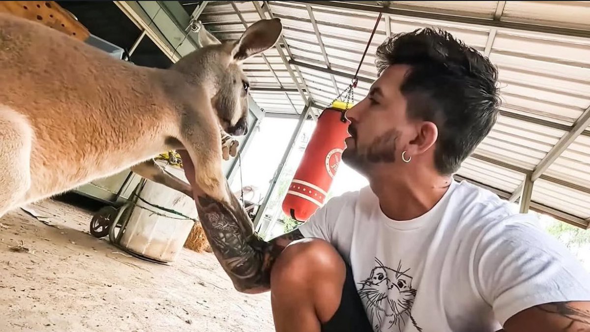 javioliveira's tweet photo. El tiempo que pasé en el SANTUARIO LIBERTAD aprendí que las especies animales tienen una tendencia a juntarse con otros miembros de su misma especie, formando grupos sociales.

Esta tendencia es impulsada por diversos factores evolutivos que benefician la supervivencia. https://t.co/md5bfTJx8t