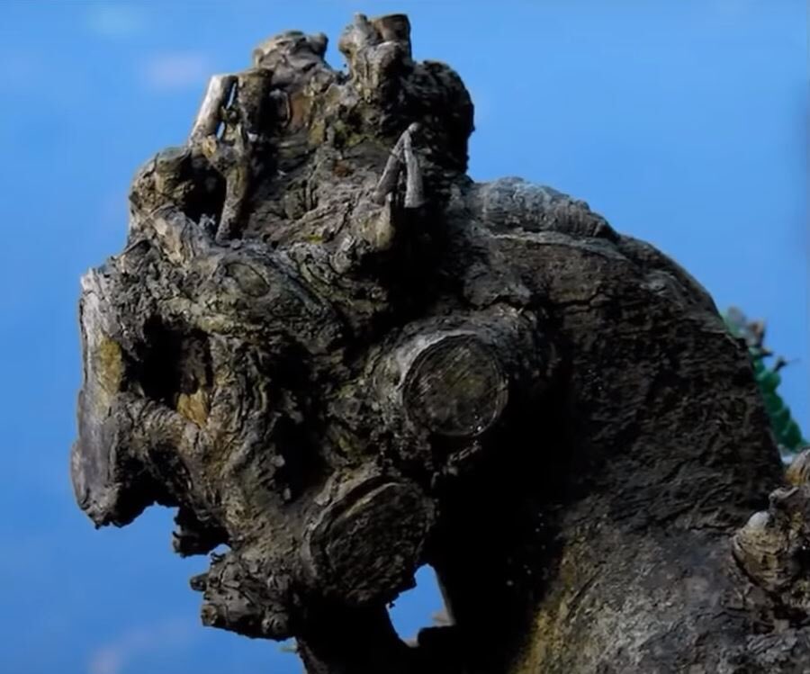 Icon_Trell's tweet image. PETRIFIED TITANS #titans #supergiants #NephilimBloodlines