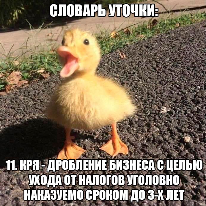 Дантес (@dantesdmitriy) on Twitter photo 