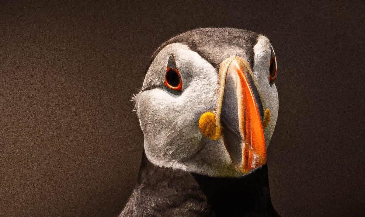 Thomas Casey tweet media