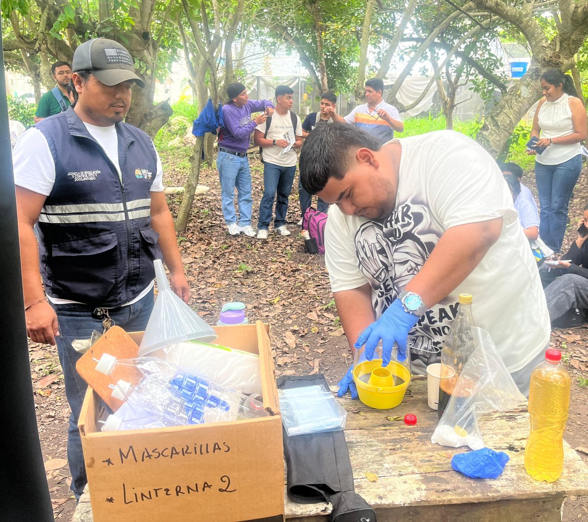 #ElOro | Realizamos capacitación y día de campo a estudiantes de la facultad de ciencias agropecuarias de la <a href="/utmach1969/">UTMACH</a>, sobre tema de vigilancia y manejo integrado de plaga en moscas de la fruta del proyecto PROMOSCA. 
#AgrocalidadCapacita