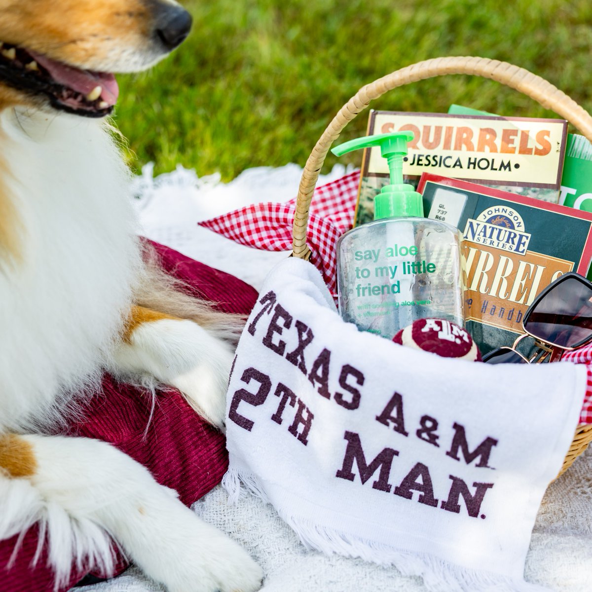 reveille's tweet image. I’ve got my summer class essentials, Ags—what about you? 🐾☀️ Good luck on the start of your summer classes next week! You’ve got this!
#TAMU #Aggieland #GigEm