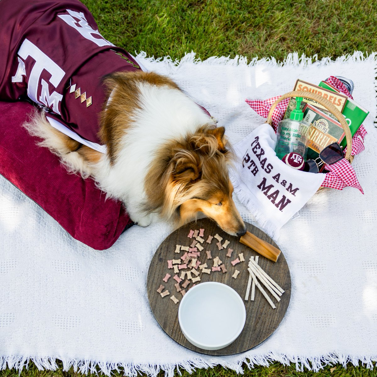 reveille's tweet image. I’ve got my summer class essentials, Ags—what about you? 🐾☀️ Good luck on the start of your summer classes next week! You’ve got this!
#TAMU #Aggieland #GigEm