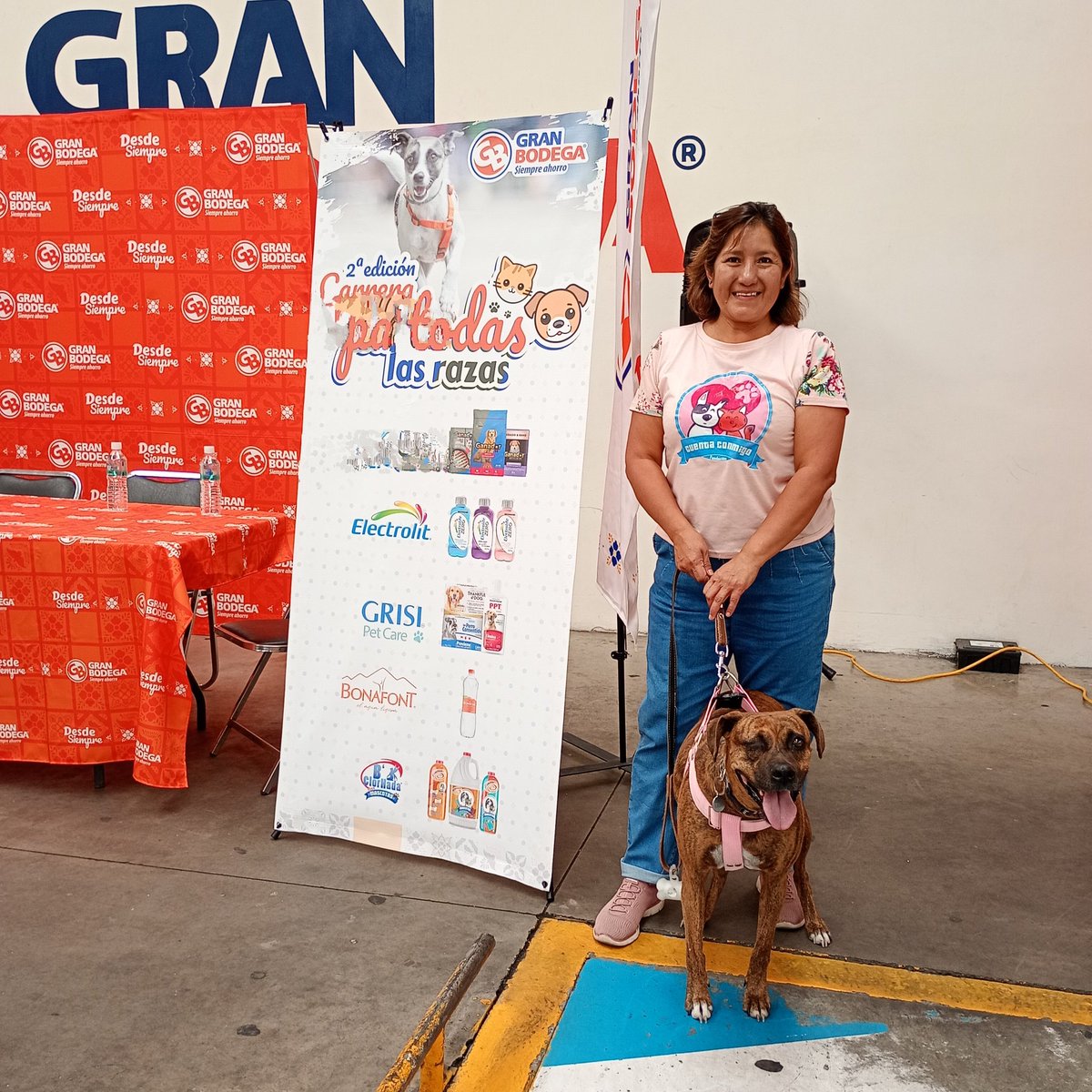 cuentaconmigo01's tweet photo. #Gracias #GranBodega por la invitación a la presentación  de la 2a. carrera PA' TODAS LAS RAZAS
Participa y diviértete con tu lomito habrá muchos regalos para los participantes 🐕🏃🏽
#Sashita los invita ☺️ 

 información 👇🏽
https://t.co/B03qj29QJ8 https://t.co/oxG4yAiSEe