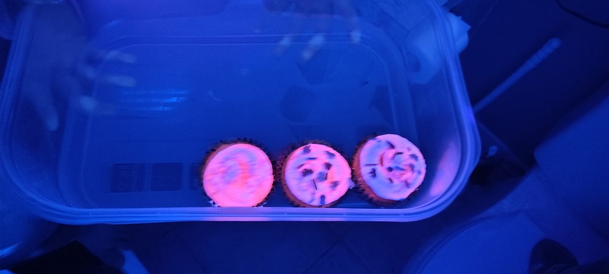 Blacklight glowing cupcakes made by my daughter :)