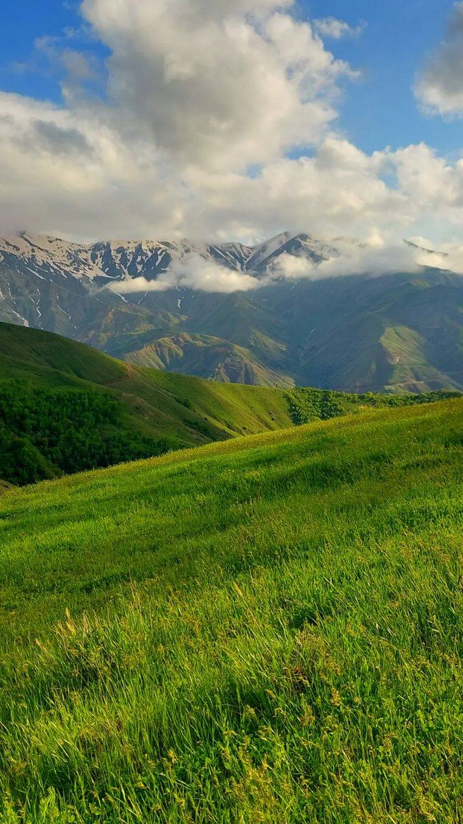 Düşüncem var; dağlar kadar
 Deli olmak işten değil 
Bende kış, alemde bahar 
Deli olmak işten değil

Ümit Yaşar Oğuzcan